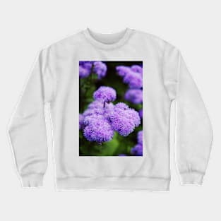 Purple Mimosa Flower Crewneck Sweatshirt